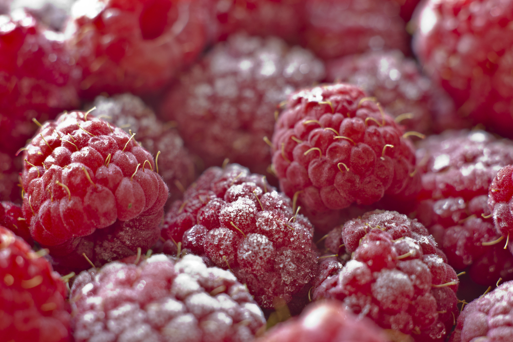 Cutting-edge Cryogenic Freezing food preservation method