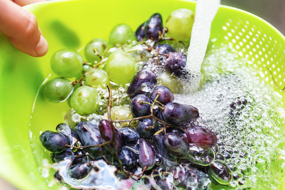 Double check and prepare your grapes for best condition preservation
