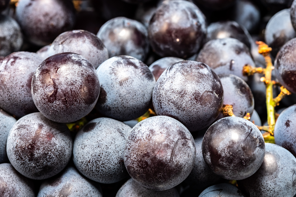 how about turning these juicy into beverage ice cube for cocktails