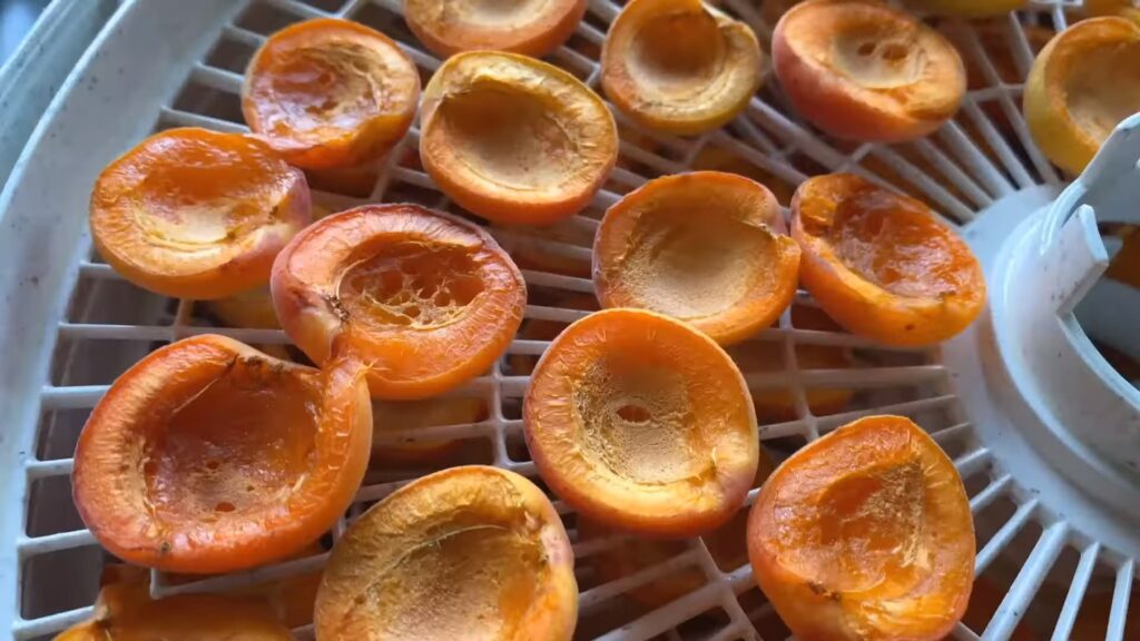 Check your dehydrated apricots every hour for the best quality
