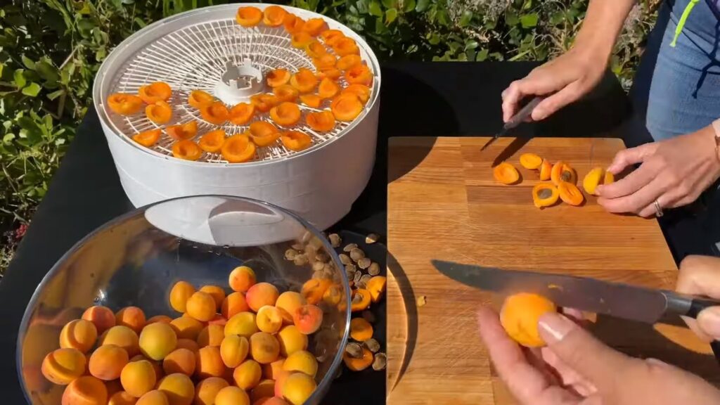 How To Dehydrate Apricots In Dehydrator: Cutting apricots into bite-sized chunks to dehydrate