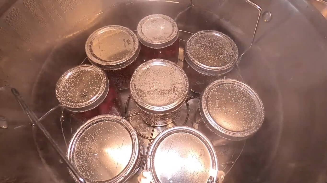 Canning Pickled Red Cabbage Recipe Stepbystep How To Can Red Cabbage