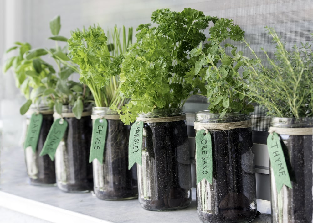 can mason jars be put in the freezer use mason jar for growing vegetables to protect enviroment
