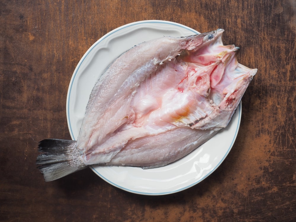 dehydrating fish cut fish for drying effectively