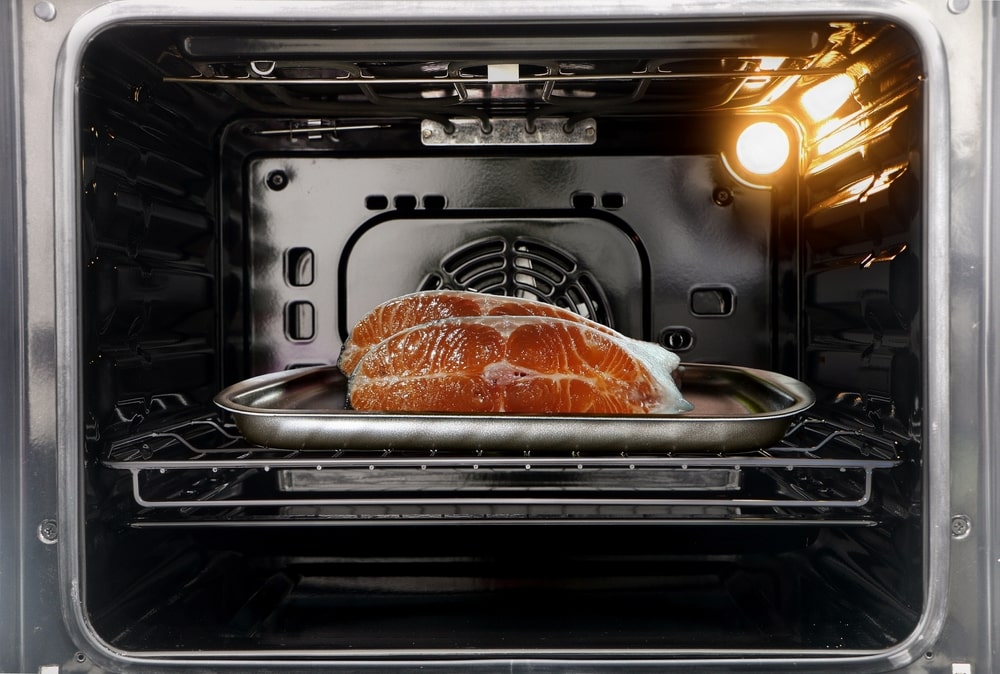 dehydrator fish using oven to dry fish