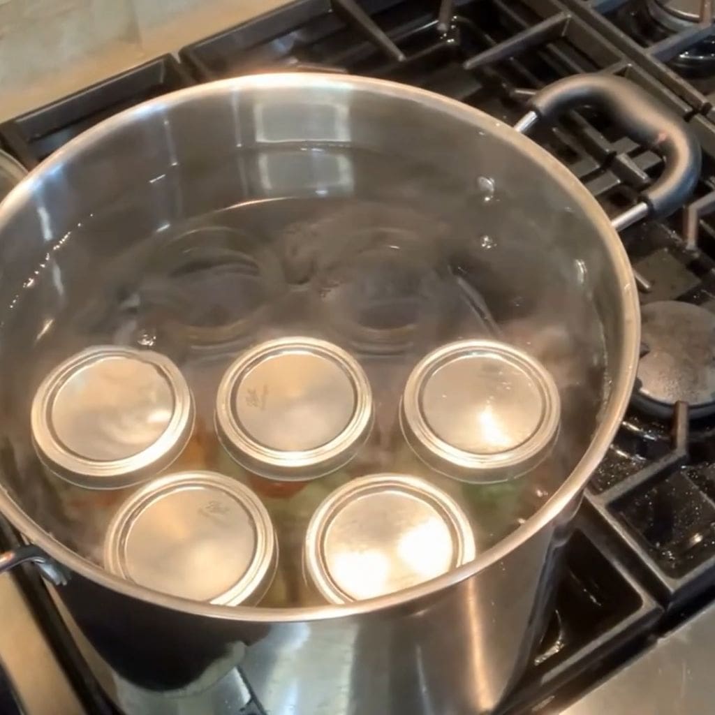 https://manzanillanyc.com/wp-content/uploads/2023/08/how-to-can-without-a-canner-water-bath-canning-alternative.jpg