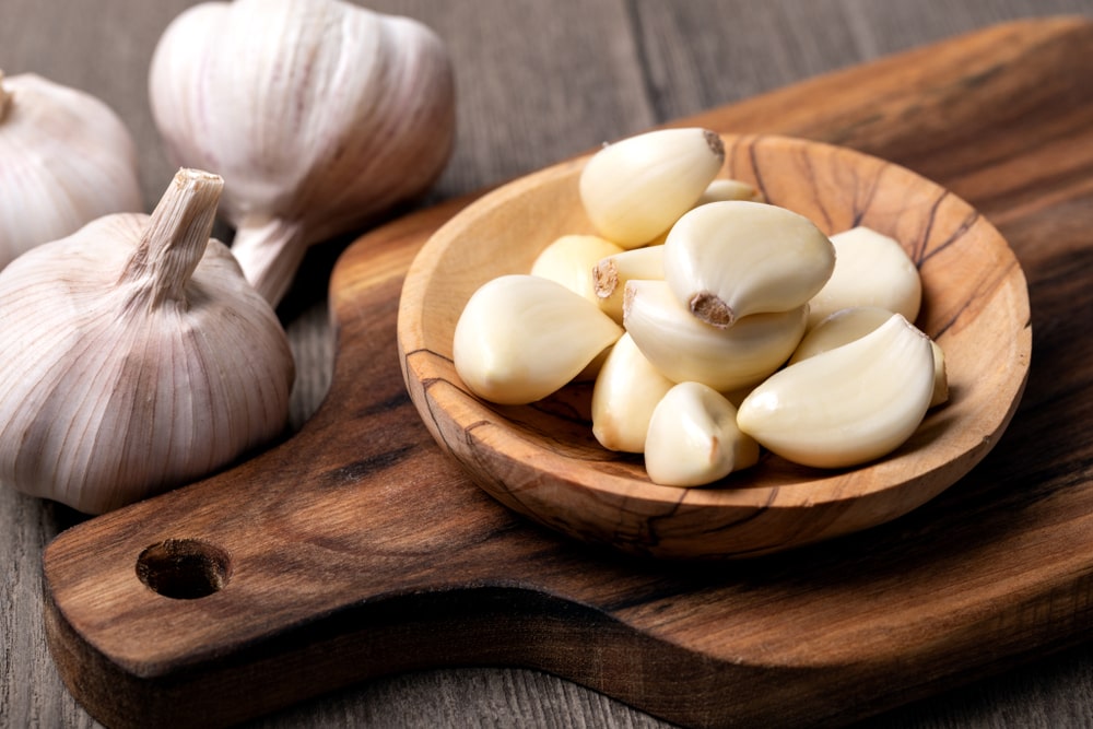 gachamiga garlic is the main ingredient of the traditional Gachamiga